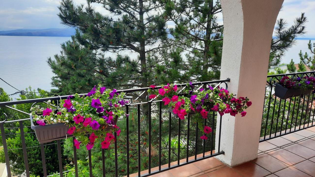 Vlatkovic Apartman Zengg Kültér fotó